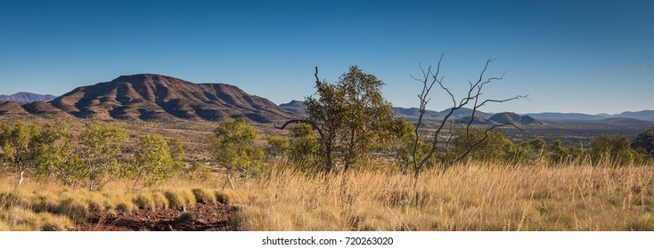 Panorama Of Australian Outback Pilbara Landscape With Hills, Blue Sky And Spinifex Grass.