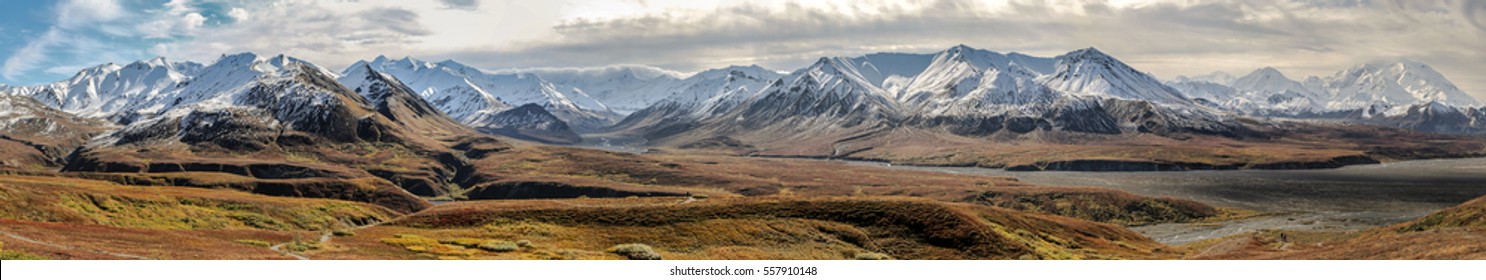 Panorama Autumn In Denali National Park, Alaska