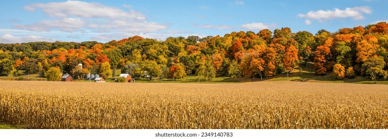 Panorama of the autumn forest at the edge of the field. Autumn forest panorama. Autumn forest panoramic landscape. Autumn landscape - Powered by Shutterstock