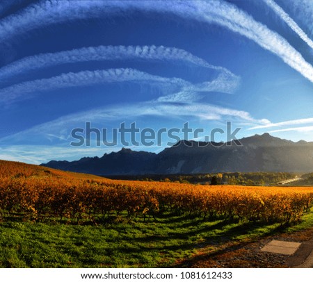 Similar – Image, Stock Photo allgäu. Environment Nature