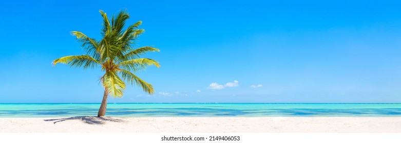 Panorama banner photo of idyllic tropical beach with palm tree - Shutterstock ID 2149406053