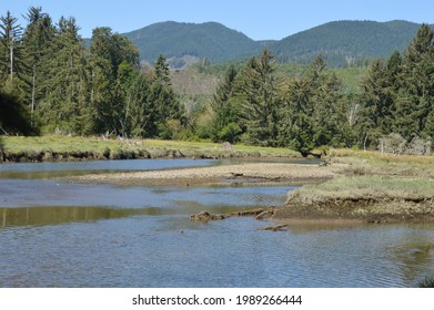 Panorama Beach At The Puget Sound On Olympic Peninsula, Washington