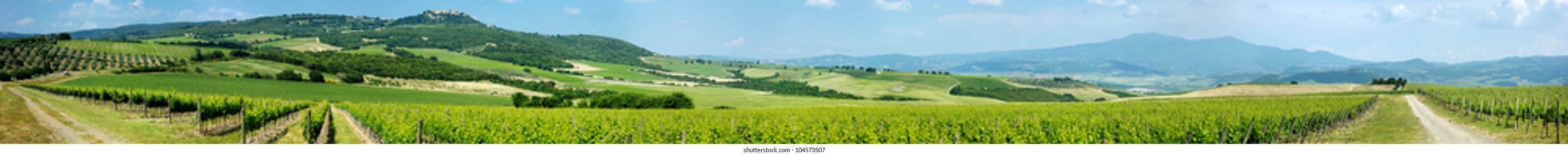 Panorama of beautiful wine fields in Italy