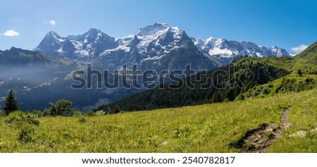 The panorama of Bernese alps with the Monch, Eiger and Jungfrau and too Gletscherhorn, Ebenfluh, Mittaghorn  Grosshorn peaks over the alps meadows from Hinteres Lauterbrunnen valley.