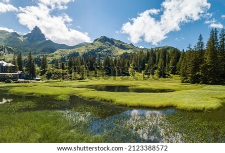 Panorama of Black Lake (Schwarzsee) marshland with summer vegetation in the mountain over the Walensee Lake, Switzerland