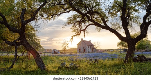 Panorama of Bluebonnet House in Marble Falls with Bluebonnets and Setting Sun Marble Falls Texas - Powered by Shutterstock