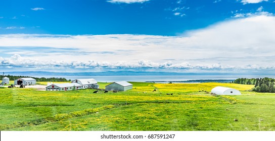 Panorama Of Charlevoix Region Of Quebec Canada With Aerial View Of Farm In Summer And Saint Lawrence River