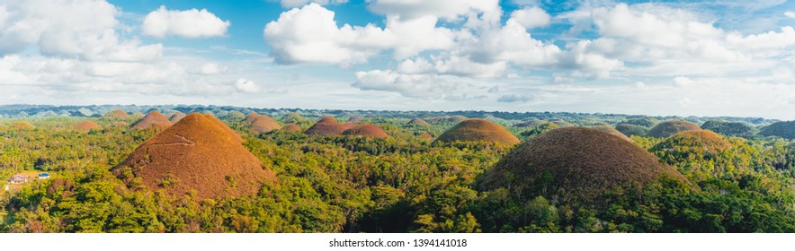 Panorama of the Chocolate Hills in the Bohol island in the Philippines, covered in brown grass. Famous touristic place