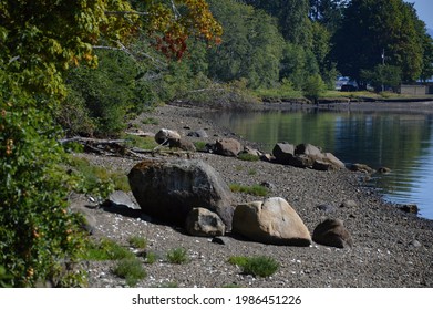 Panorama Coast At The Puget Sound On Olympic Peninsula, Washington