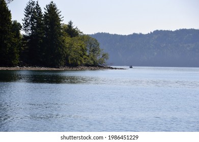 Panorama Coast At The Puget Sound On Olympic Peninsula, Washington