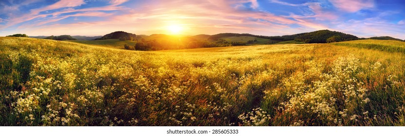 Panorama of a colorful sunset on beautiful meadow, wide format rural landscape with vibrant colors