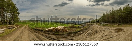 panorama of country side with dirt road, meadow, wood, forest