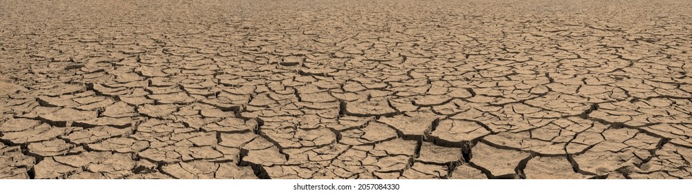 Panorama cracked brown soil  barren wasteland surface natural background and deep focus
