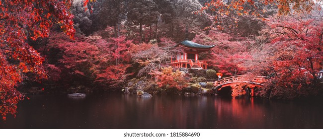 Panorama Of Daigo Ji Temple With Asian Traveler Woman And Umbrella Against Colorful Red Maple Tree In Autumn Season, Kyoto, Japan