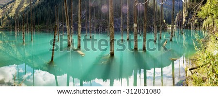 Similar – Image, Stock Photo 2200 raindrops