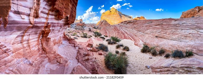 Panorama of the desert canyon valley. Canyon desert panoramic landscape. Canyon panorama. Red rock canyon desert panorama