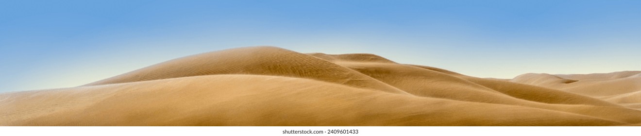 Panorama of desert landscape in Africa with sand dunes in Namib desert, Namibia. Nature background of sandy hills with soft lines and copy space for your design of header or banner, wide format.