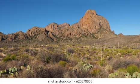 Panorama Of The Desert Landscape Of Big Bend National Park, Texas