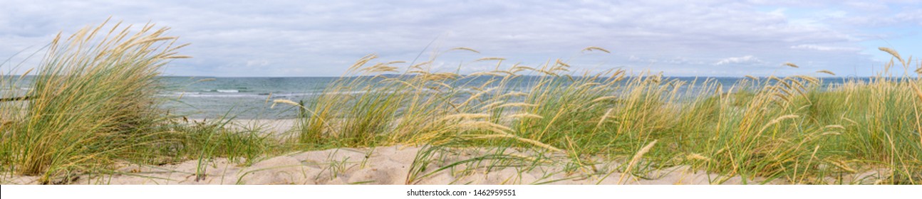 Panorama dunes and  baltic sea