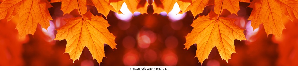 autumn panorama images stock photos amp vectors shutterstock autumn header