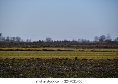 A panorama of farmland with an infantry unit moving on the horizon.