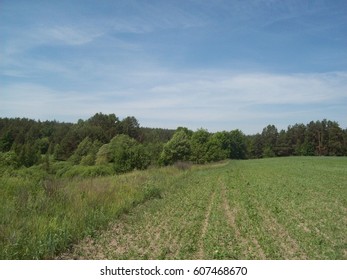 Panorama of fields and meadows