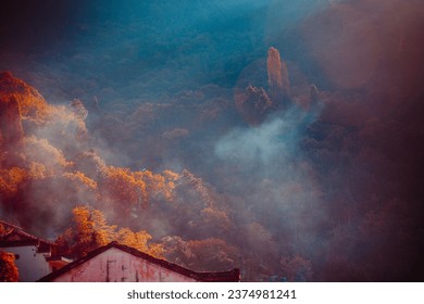 Panorama, Fog, Fog meer, autumn, leaves, sea of fog - Powered by Shutterstock