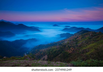 Panorama, Fog, Fog meer, autumn, leaves, sea of fog - Powered by Shutterstock