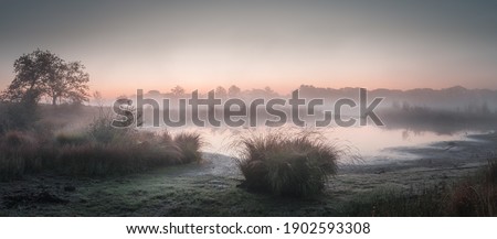 Panorama of a foggy sunrise above a fen with some shrubs in the foreground in Gelderland the Netherlands