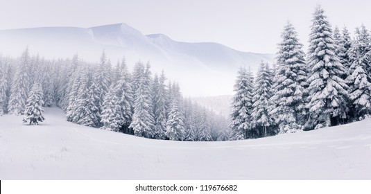 Panorama Of The Foggy Winter Landscape In The Mountains