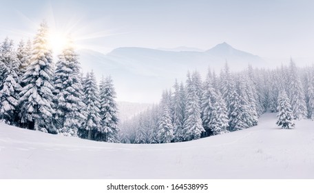 Panorama Of The Foggy Winter Landscape In The Mountains