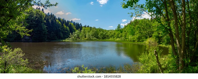 Panorama of forest lake. Lake among the forest on a sunny summer day. Panorama of a lake in the woods. Panorama of a wild lake with a solid forest on the shores.