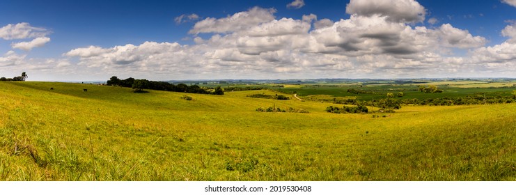 Panorama Of The Gaucho Pampa Landscape, Interior Of Southern Brazil, Green Fields, Gray Clouds And Blue Sky