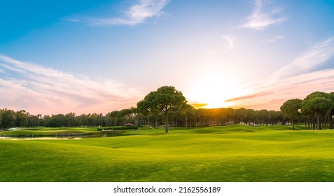 Panorama of golf course at sunset with beautiful sky. Scenic panoramic view of golf fairway. Golf field with pines - Powered by Shutterstock