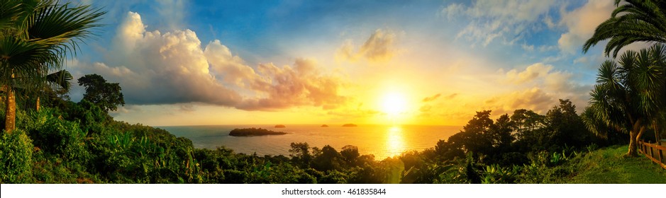 Panorama of a gorgeous colorful sunset at the sea, framed by silhouettes of the coast vegetation