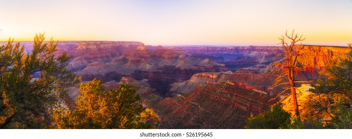 panorama of Grand canyon  at sunset in summer,Arizona,usa.