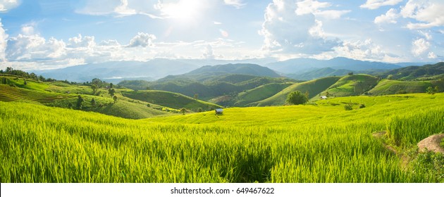 Panorama Green rice field with mountain background at Pa Pong Piang Terraces Chiang Mai, Thailand - Shutterstock ID 649467622