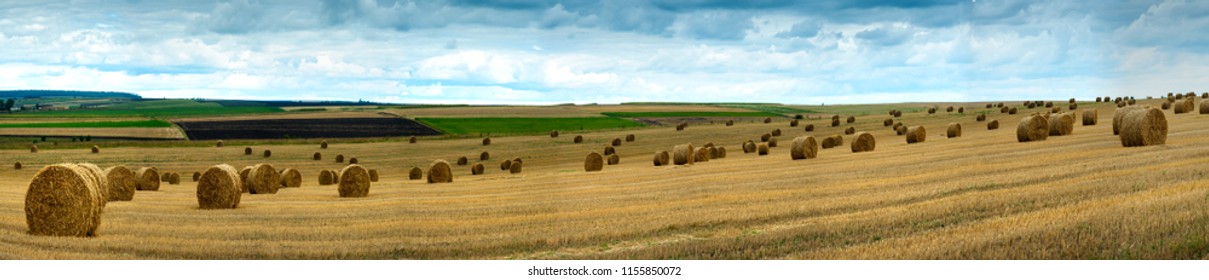 Hay Bales In Field Images Stock Photos Vectors Shutterstock