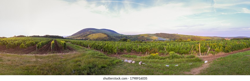 Panorama of hills and vineyards near Eger in Hungary. The area is famous for its wine.