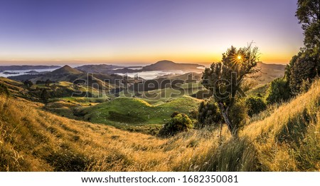 Panorama of Hoopers Inlet coastal landscape Otago Peninsula, New Zealand. Sunrise over sounds and inlets close Dunedin. Green meadow and field with herd of sheep with hills and sea in background.