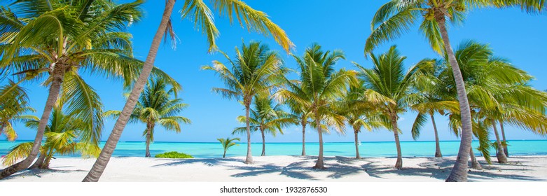 Panorama of idyllic tropical beach with palm trees, white sand and turquoise blue water - Shutterstock ID 1932876530
