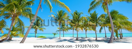 Panorama of idyllic tropical beach with palm trees, white sand and turquoise blue water