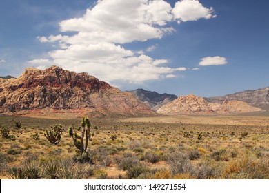 Panorama with joshua tree at red rock canyon in Nevada