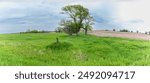 Panorama of Kansas farmland, Colfax Township, Cloud County, Kansas. Green grass in field, another field prepared for planting. Trees in distance; cloudy sky.
