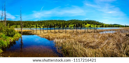 Panorama of Kidd Lake along Highway 5A, the Kamloops-Princeton Highway, between the towns of Merritt and Princeton in British Columbia, Canada