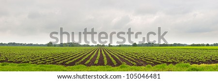 Similar – Image, Stock Photo Panorama of a landscape with mother and child in the foreground