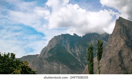 Panorama landscape of an Alpine meadow forest under a cloudy and stormy sky with tall trees blurred background in Gilgit-Baltistan, Pakistan. - Powered by Shutterstock