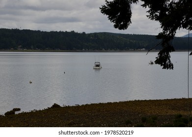 Panorama Landscape At The Olympic Peninsula, Washington