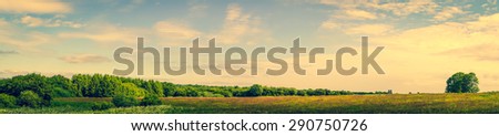 Similar – Image, Stock Photo prairie Idyll Peaceful
