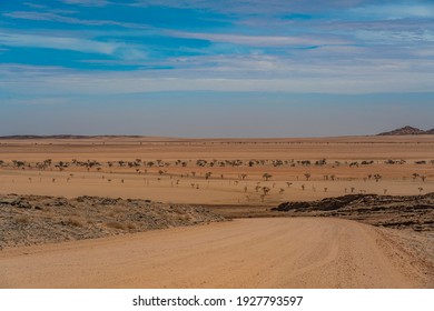 7,303 African savannah landscape panorama Images, Stock Photos ...